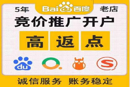 SEM广告投放的精准定位与优化案例